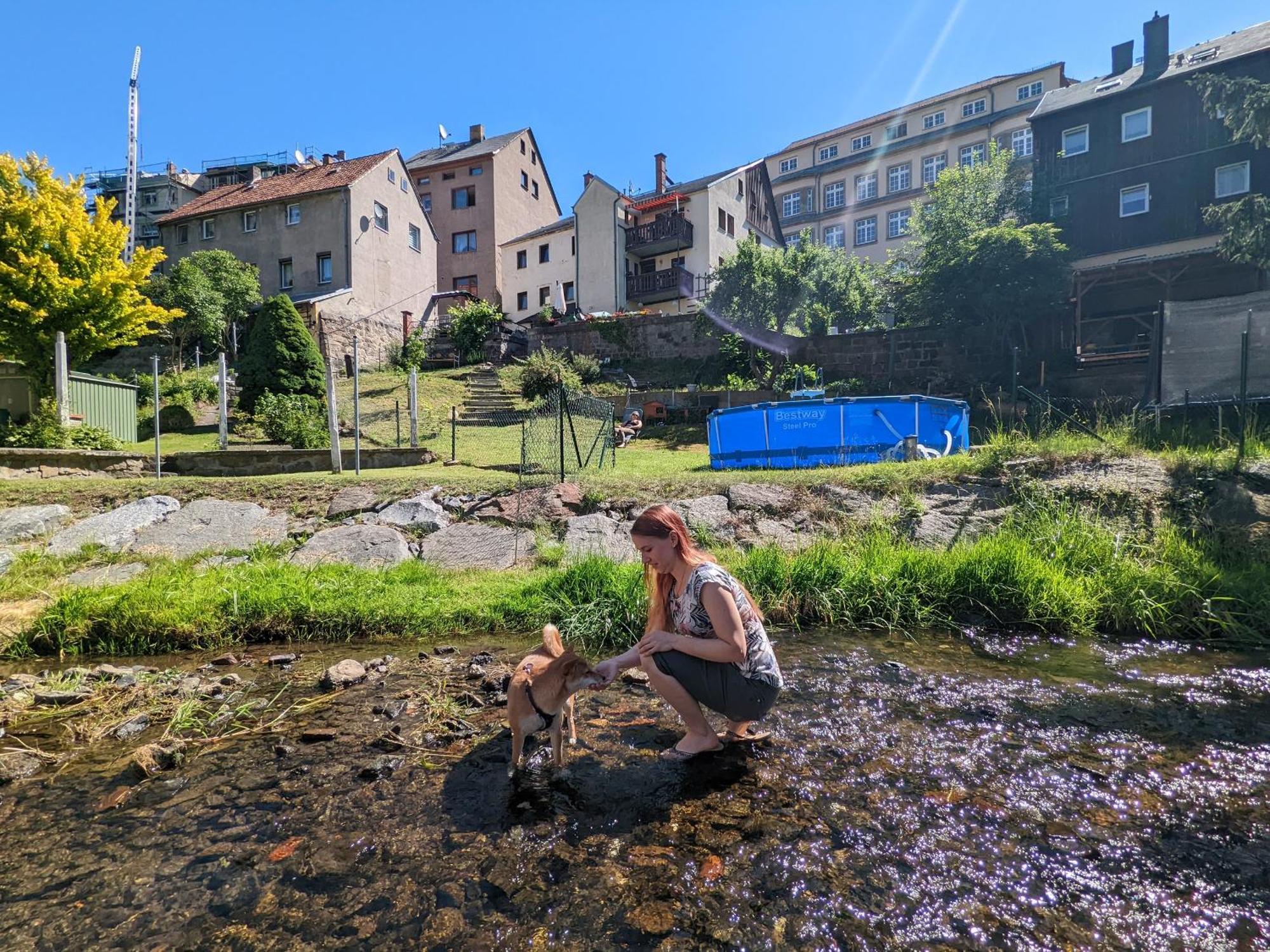 F1 - Urlaubsmagie - Helle Wohnung Mit Sauna & Pool & Whirlpool Sebnitz Dış mekan fotoğraf