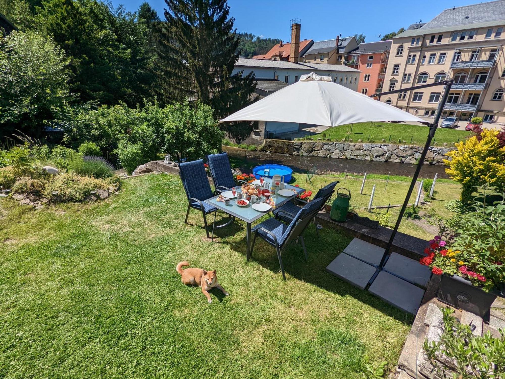 F1 - Urlaubsmagie - Helle Wohnung Mit Sauna & Pool & Whirlpool Sebnitz Dış mekan fotoğraf