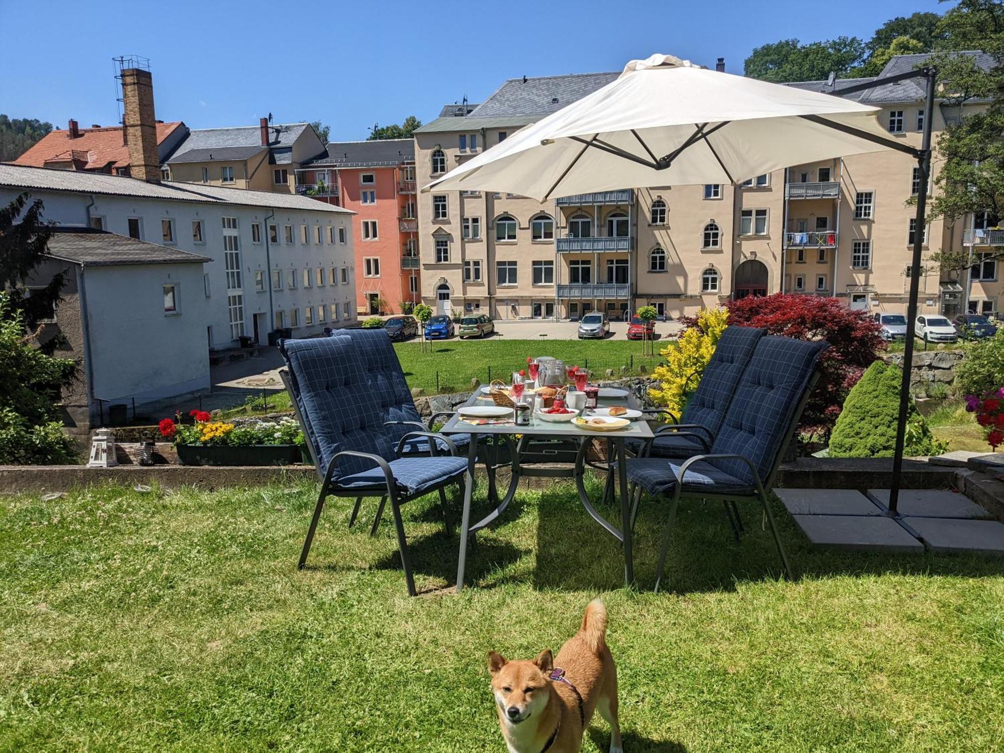 F1 - Urlaubsmagie - Helle Wohnung Mit Sauna & Pool & Whirlpool Sebnitz Dış mekan fotoğraf