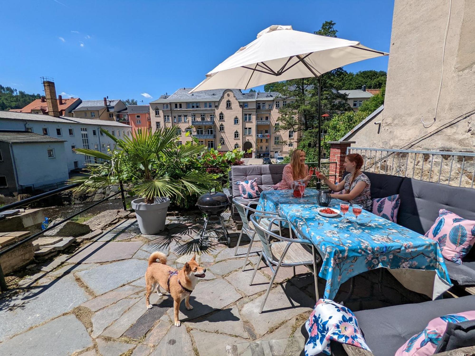 F1 - Urlaubsmagie - Helle Wohnung Mit Sauna & Pool & Whirlpool Sebnitz Dış mekan fotoğraf