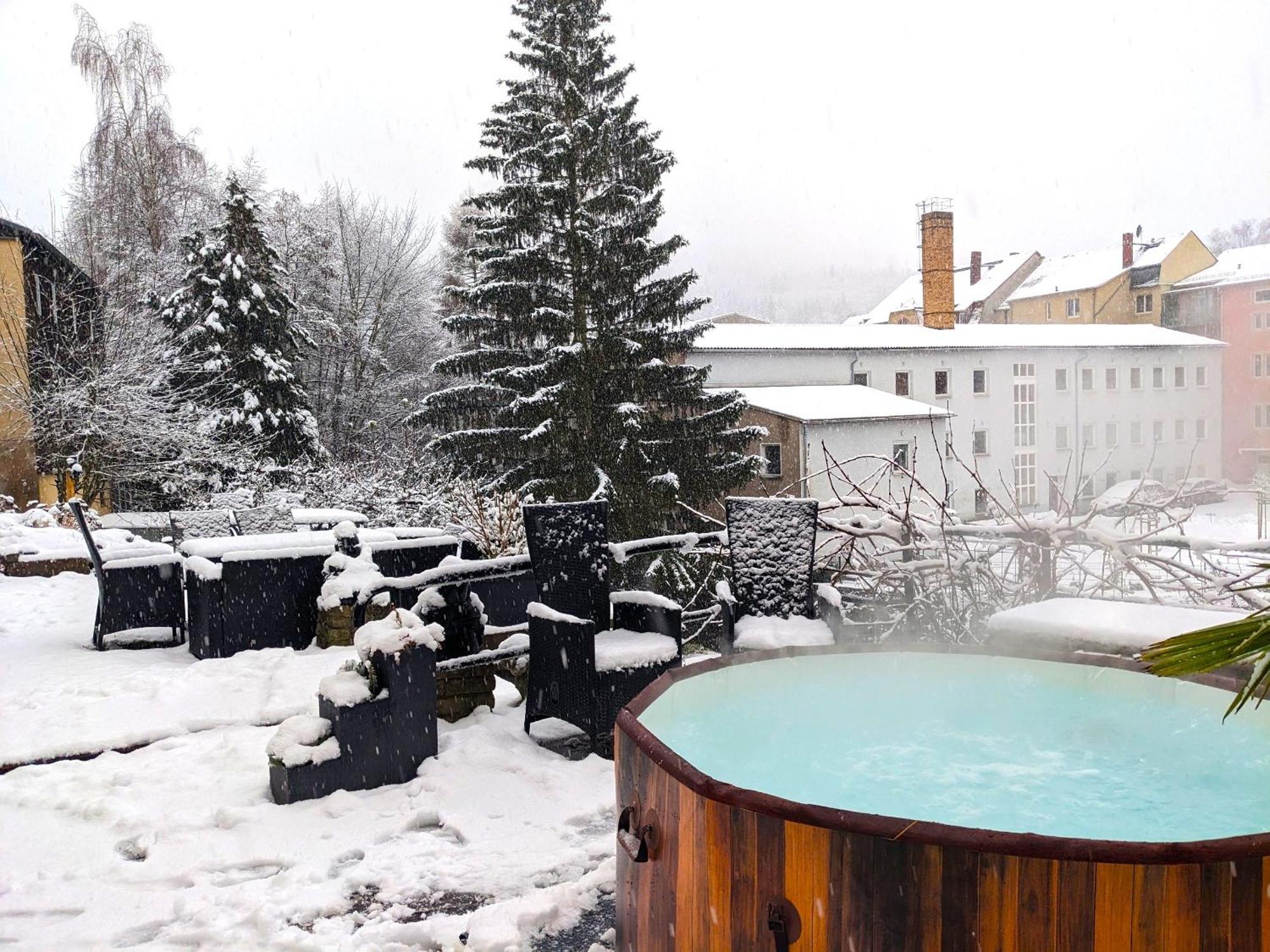 F1 - Urlaubsmagie - Helle Wohnung Mit Sauna & Pool & Whirlpool Sebnitz Dış mekan fotoğraf