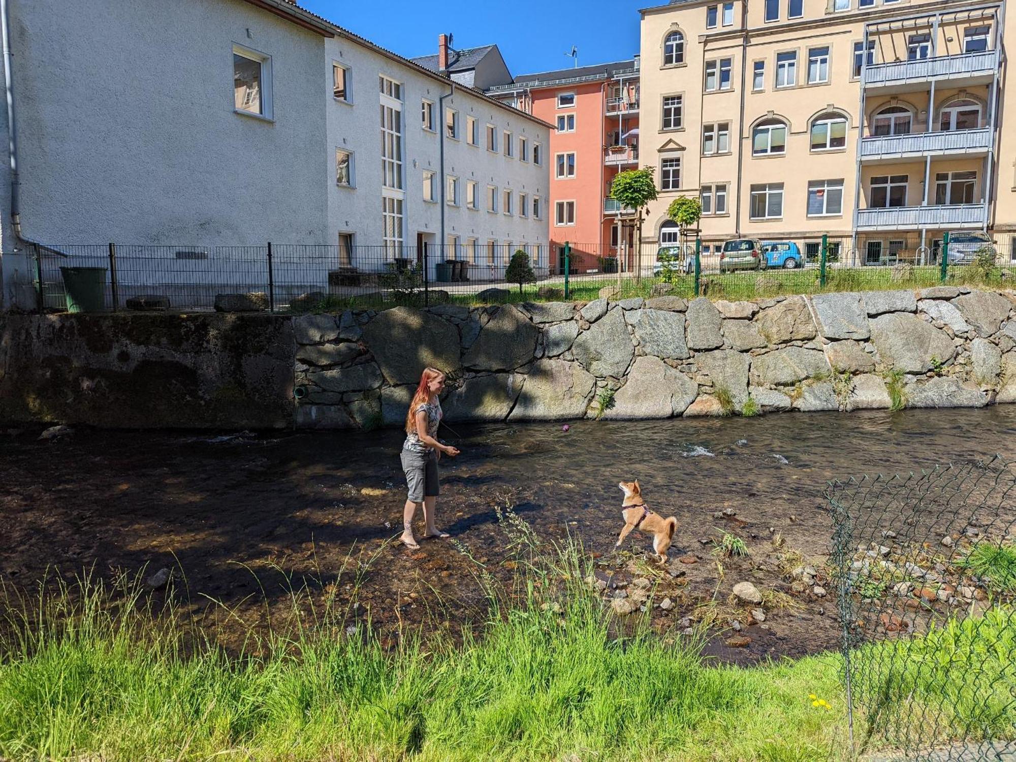 F1 - Urlaubsmagie - Helle Wohnung Mit Sauna & Pool & Whirlpool Sebnitz Dış mekan fotoğraf