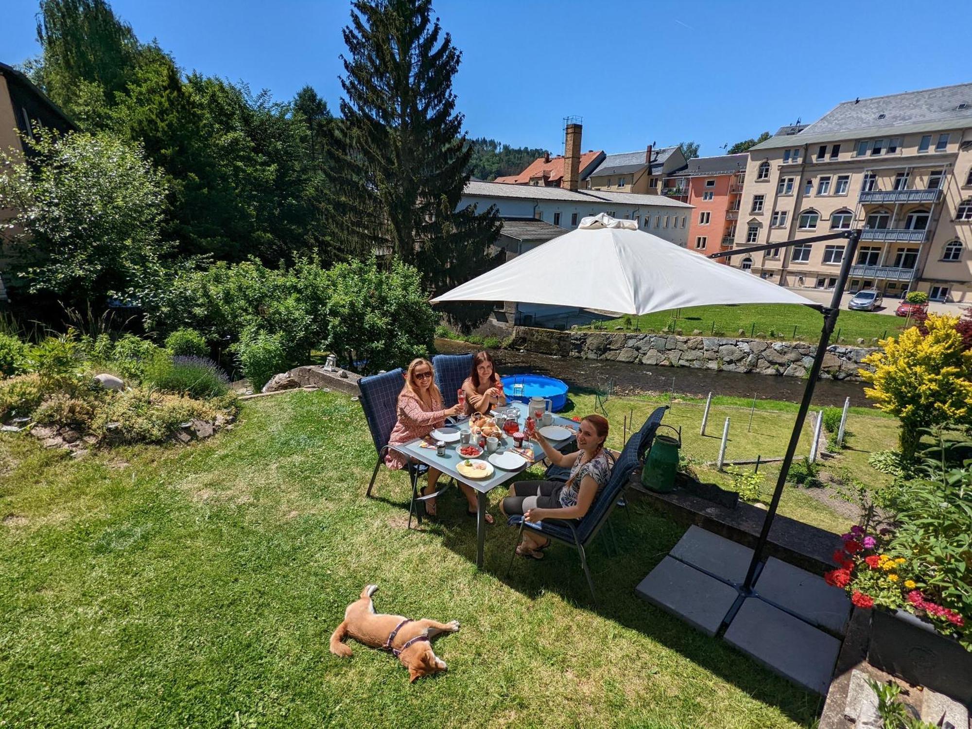 F1 - Urlaubsmagie - Helle Wohnung Mit Sauna & Pool & Whirlpool Sebnitz Dış mekan fotoğraf