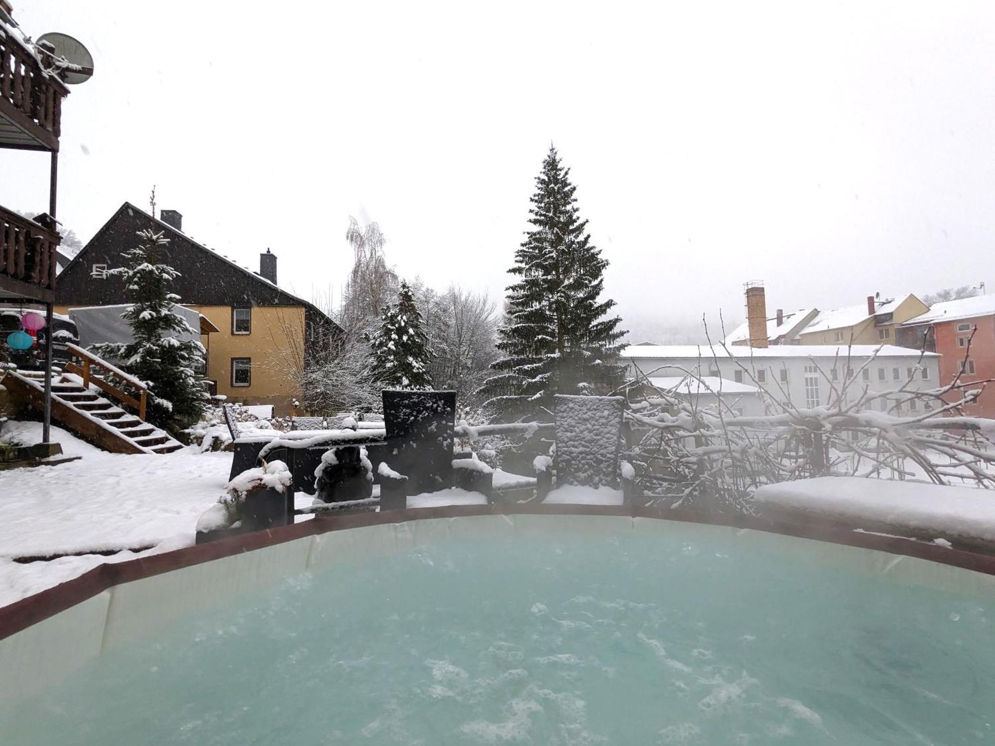 F1 - Urlaubsmagie - Helle Wohnung Mit Sauna & Pool & Whirlpool Sebnitz Dış mekan fotoğraf