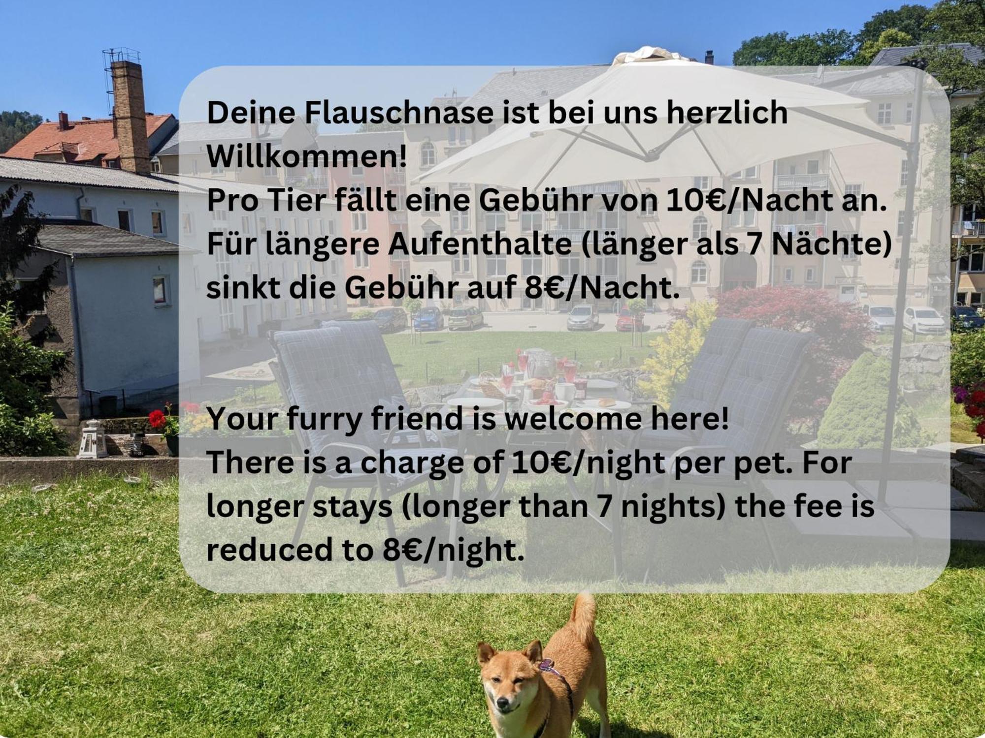 F1 - Urlaubsmagie - Helle Wohnung Mit Sauna & Pool & Whirlpool Sebnitz Dış mekan fotoğraf